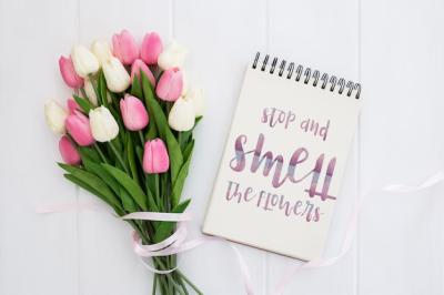 Cute Notebook Spring Concept – Download Free Stock Photo