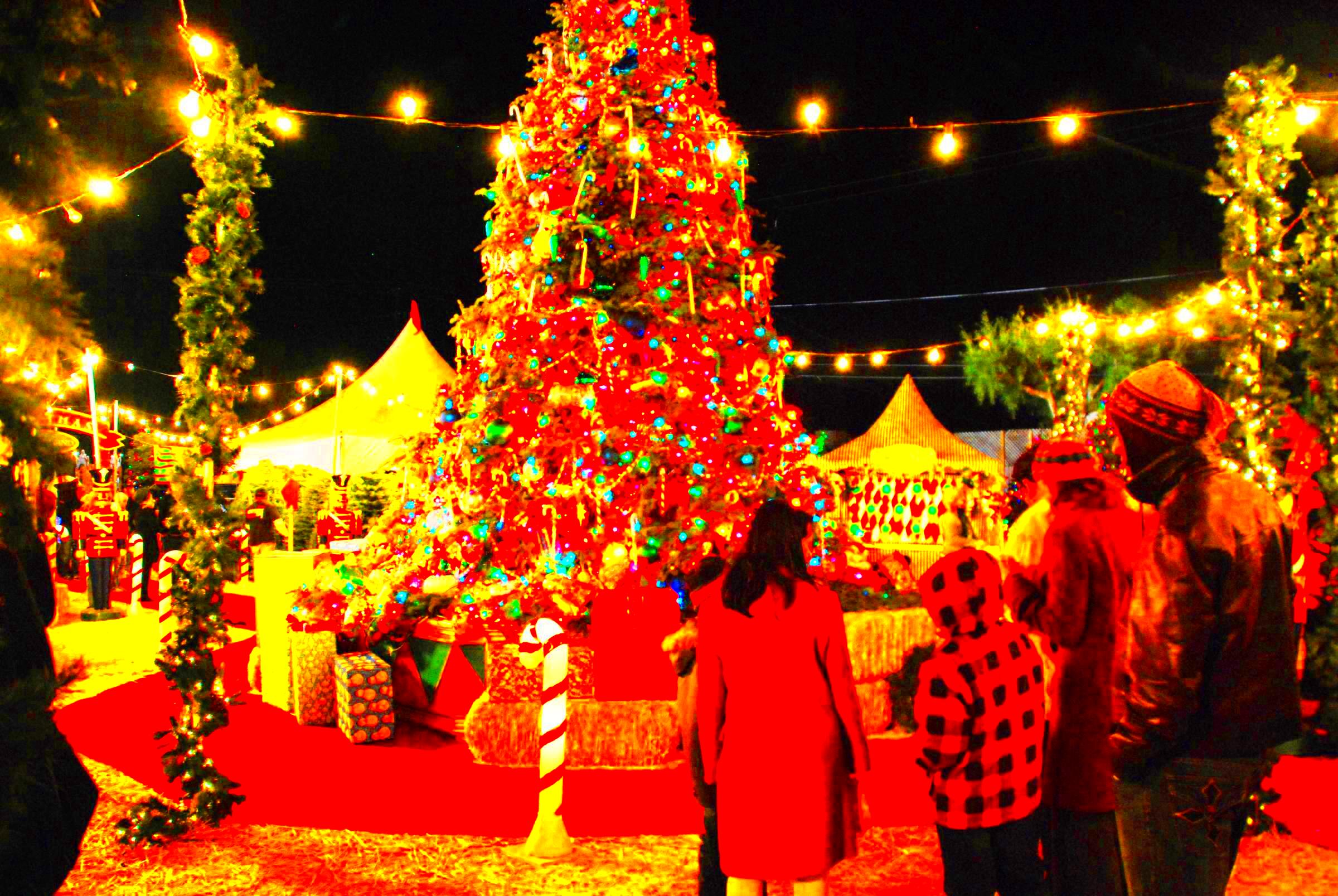 Celebrate Christmas and New Year in Goa for Unique Experience 