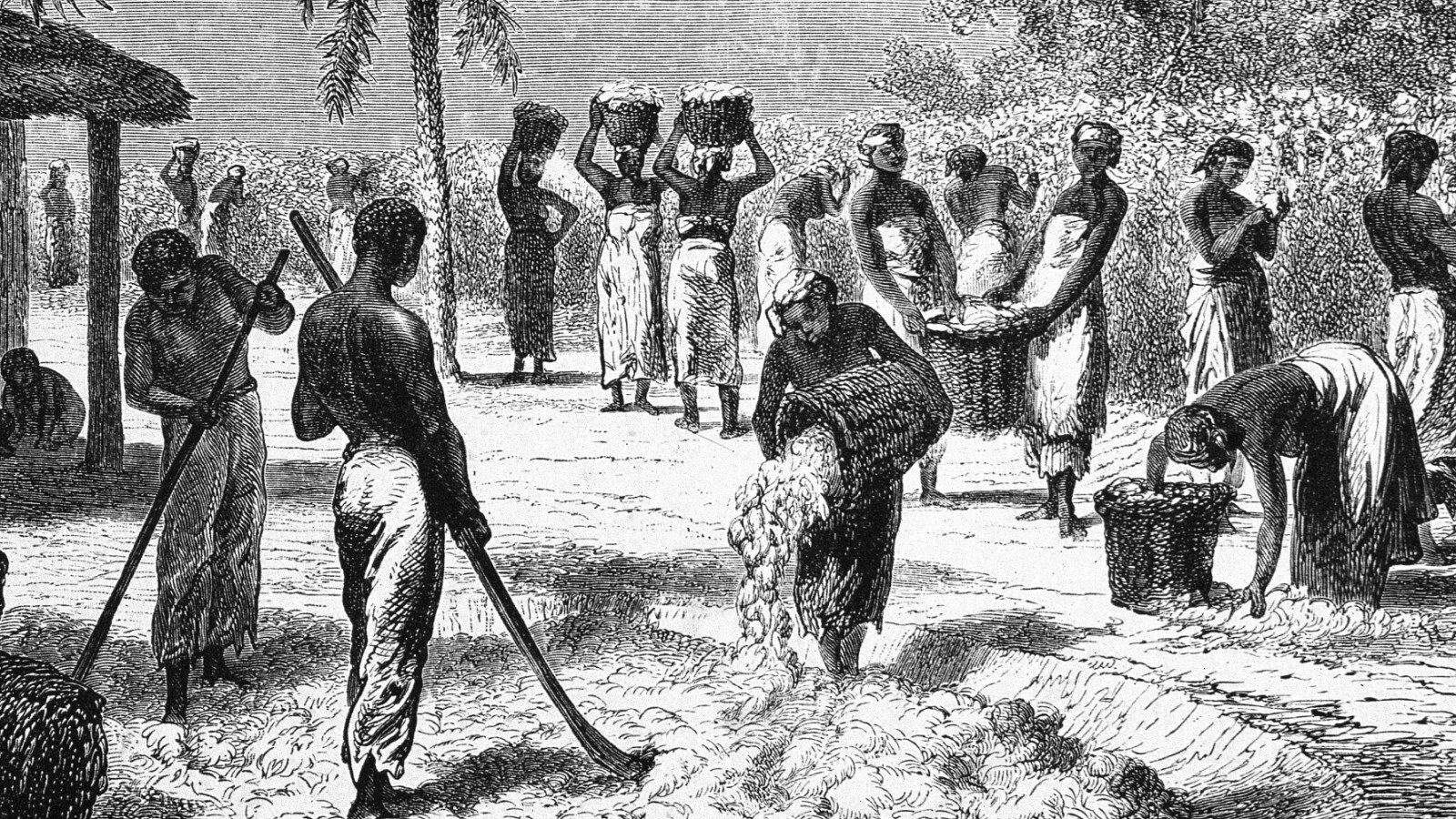 Transatlantic Slave Trade Facts Worksheets Origin Aftermath