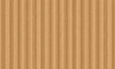 Brown Cardboard Texture for Free Download