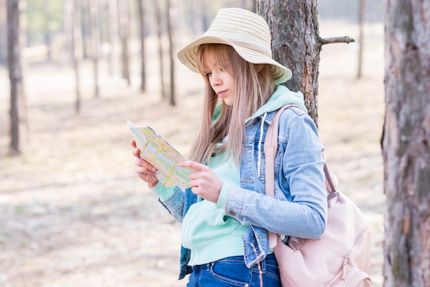 Female Traveler Under Tree with Map – Free Stock Photo, Download Free