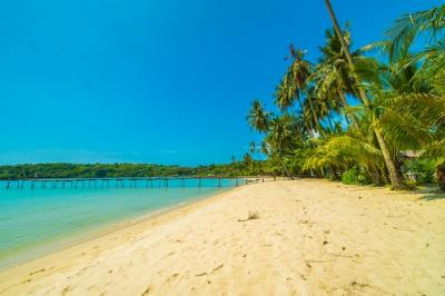 Beautiful Tropical Beach and Sea – Free to Download