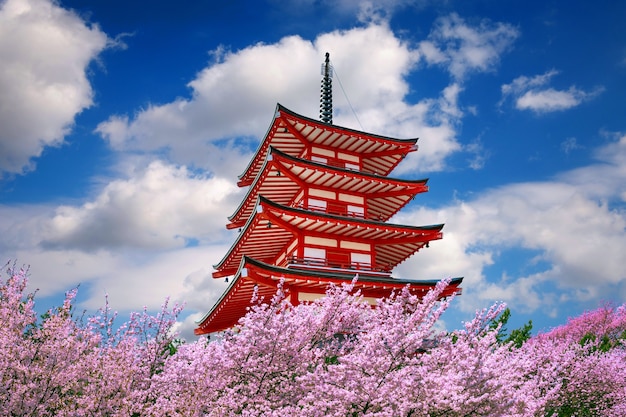 Cherry Blossoms and Red Pagoda in Spring, Japan – Free Stock Photo for Download