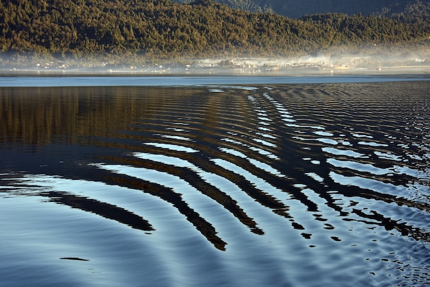 Serene Forest Reflections in Water – Free Stock Photo, Download Free