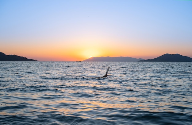 Sunset Over the Bay: Octopus Hunter or Spearfisher Screensaver â Free Download