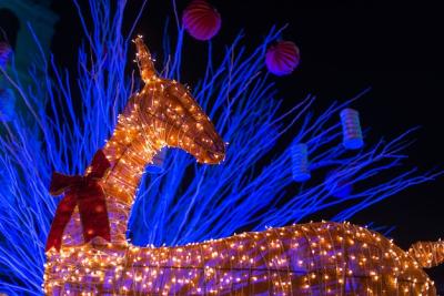 Christmas Decorated Reindeer Installation with Illuminated Lights – Free Stock Photo for Download