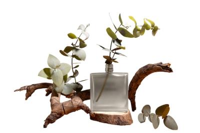 Herbalist Arrangement Still Life – Free to Download