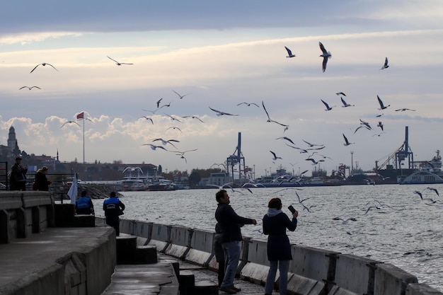 Istanbul Landscape: People Feeding Seagulls on the Beach – Free Download