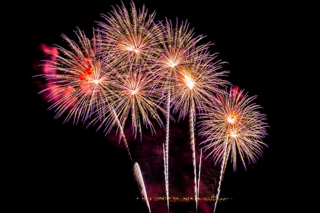 Beautiful Colorful Firework Display at Night – Free to Download