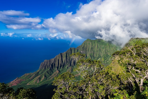 High Angle Shot of Kalalau Valley in Kauai, Hawaii – Free Stock Photo for Download