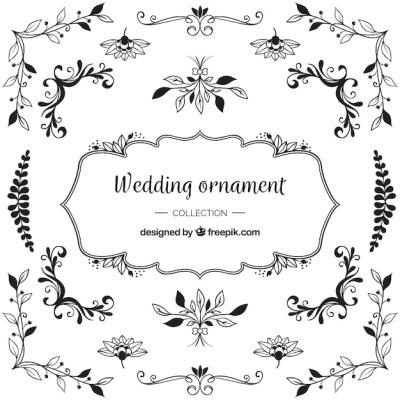 Wedding Ornaments Vector Template – Free Download