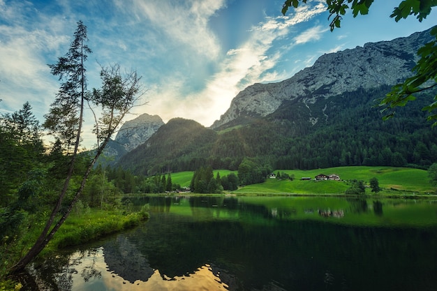 Serene Landscape of Green Trees by a Lake and Mountain Under a Blue Sky – Free Stock Photo Download