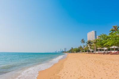 Beautiful Beach and Sea with Palm Tree – Download Free Stock Photo