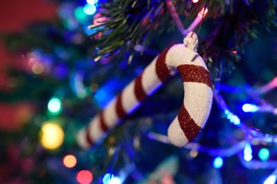 Candy Cane Detail on Christmas Tree with Bokeh – Free to Download