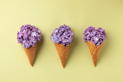 Top View Ice Cream Cones with Flowers – Free to Download Stock Photo