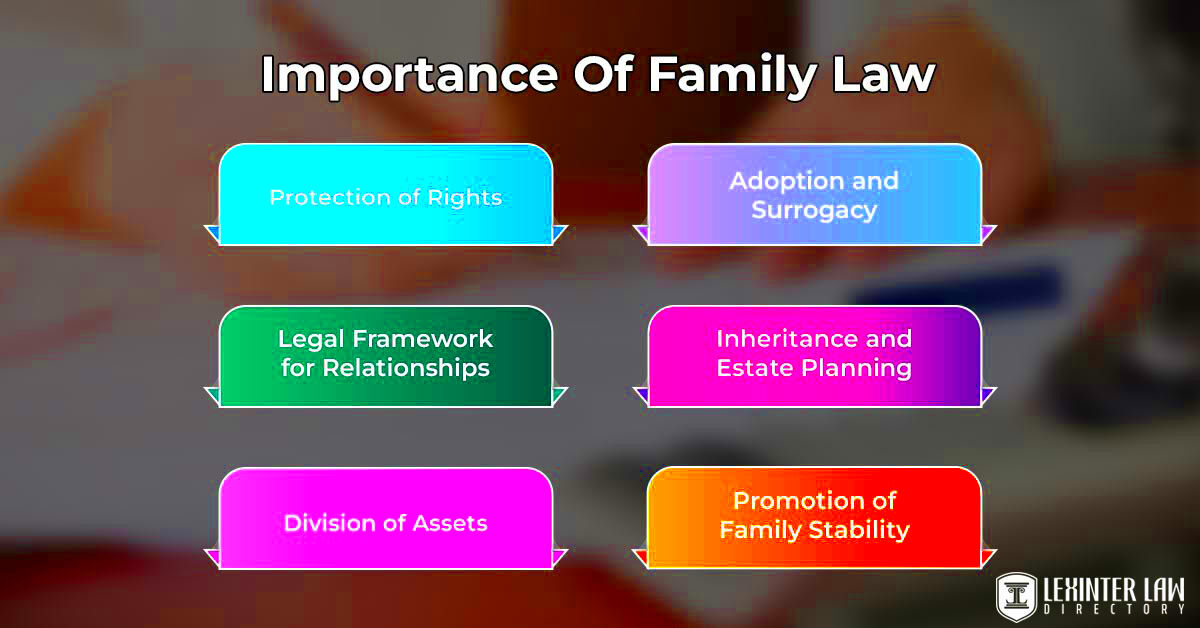 Family Law Basic Principles For Domestic Relations Lexinter