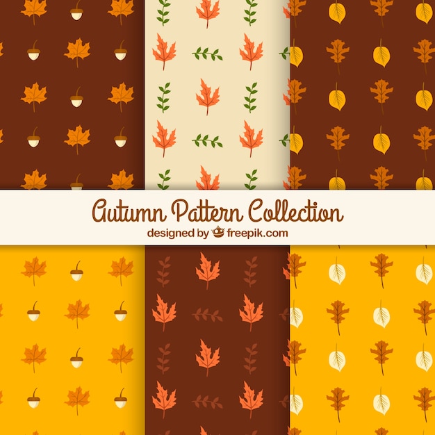 Cute Set of Patterns with Autumn Leaves – Free to Download