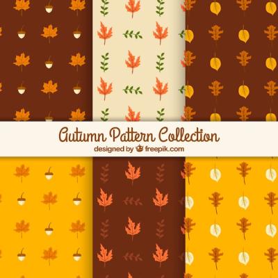 Cute Set of Patterns with Autumn Leaves – Free to Download