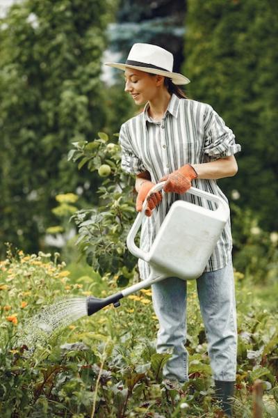 Summer Gardening: Woman Watering Flowers with a Hat – Free to Download