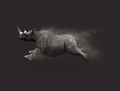 A Rhino Moving and Jumping with Dust Particle Effect on Gray Background – Free Download