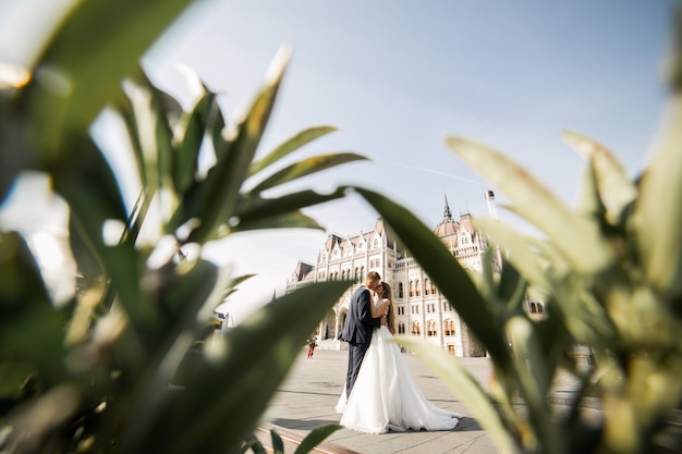 Wedding Couple on Their Special Day in Budapest – Free Stock Photo for Download