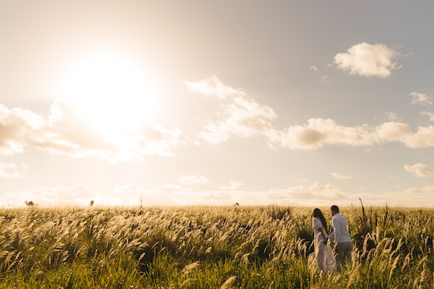 Male and Female Walking in a Green Meadow on a Sunny Day – Free Download