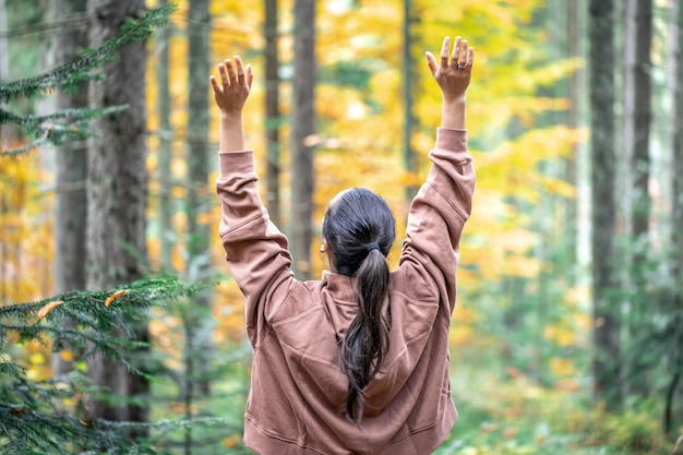 Autumn Forest View from Behind a Woman – Free Stock Photo, Download for Free