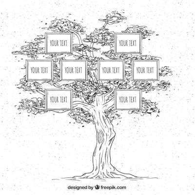 Hand-Drawn Family Tree in Vintage Style – Free to Download