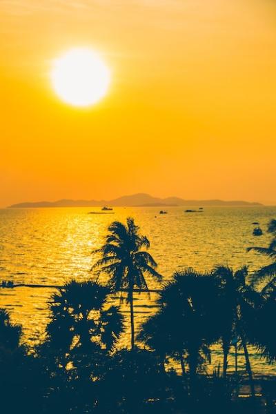 Orange Paradise Sunshine Landscape Background – Free Download