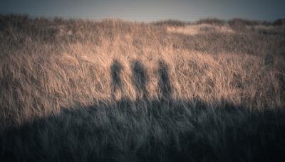 Amazing Shot of Three People’s Silhouette on Coastline – Free Download