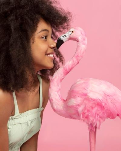 Young Adorable Girl Posing with Toy Flamingo – Free Download