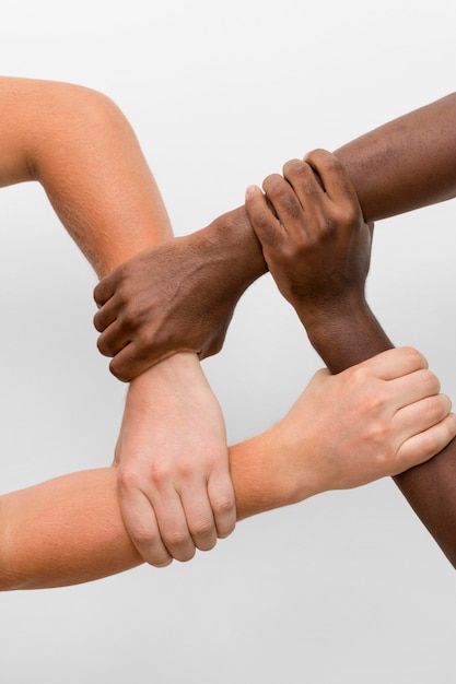 Multiracial Hands Coming Together – Free Stock Photo for Download