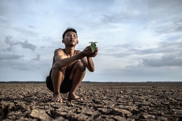 Men Holding Seedlings on Dry Ground Looking at the Sky – Free Stock Photo for Download