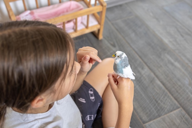 A Beautiful Little Girl Playing with a Blue and White Budgie – Free Stock Photo for Download