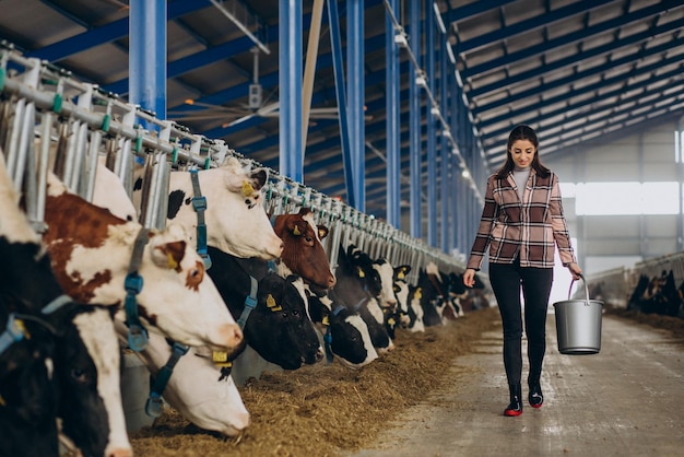 Young Woman Feeding Cows in a Cowshed – Free Download