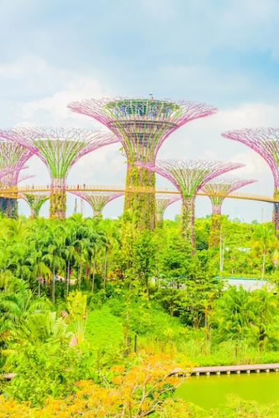 Stunning Garden by the Bay Free Stock Photo – Download for Free