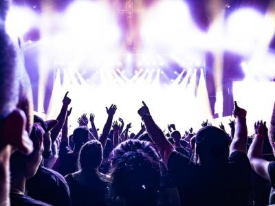 Cheering Young People at a Rock Concert – Free Stock Photo for Download