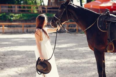 Girl with Horse – Free Stock Photo for Download