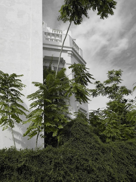 Low Angle View of Trees Growing by Building Against Sky – Free Stock Photo, Download Free