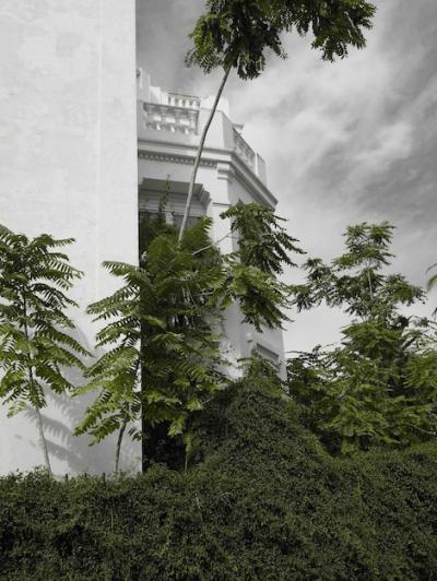 Low Angle View of Trees Growing by Building Against Sky – Free Stock Photo, Download Free