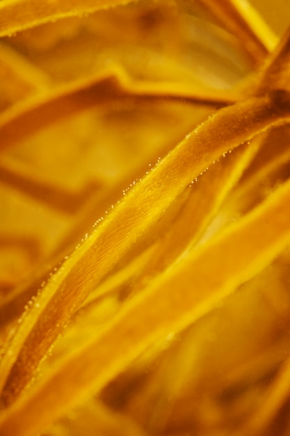 Still Life of Algae Details – Free Stock Photo for Download