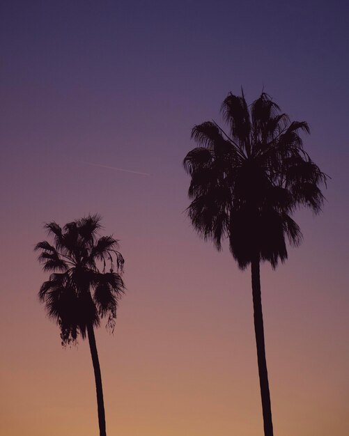 Colorful Sunset Over Los Angeles with Silhouetted Palm Trees and Plane