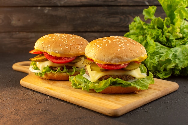 Front View of a Delicious Chicken Burger with Cheese and Green Salad – Free Download