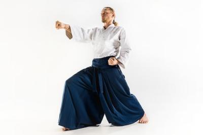 Aikido Master in Defense Posture – Free Download