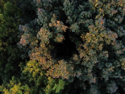 Aerial View of Fields at Sunset – Free Stock Photo, Download Free