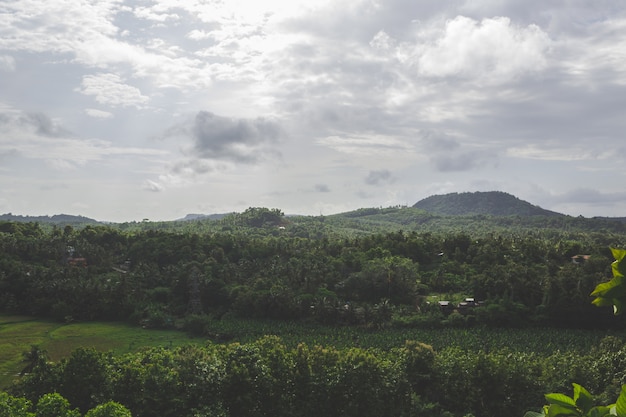 Scenic Green Landscape with Hill in the Background – Free Download