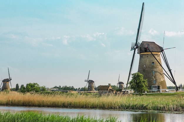 Traditional Dutch Windmills Surrounded by Lush Green Grass – Free Stock Photo for Download