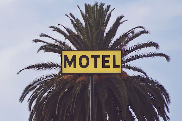 Motel Signage in Front of a Palm Tree During Daytime – Free Download