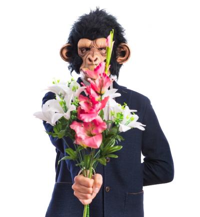 Monkey Man Holding a Bouquet – Free Download