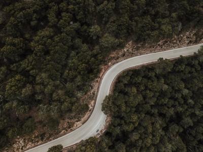 Aerial View of a Serene Road Embraced by Lush Coniferous Trees – Free Download